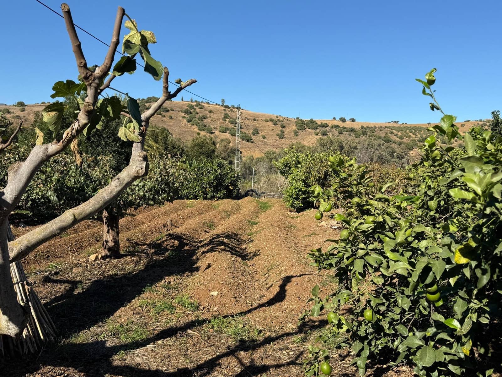 5 soveværelse Finca/Landehus til salg i Coin med swimmingpool - € 695.000 (Ref: 9382874)