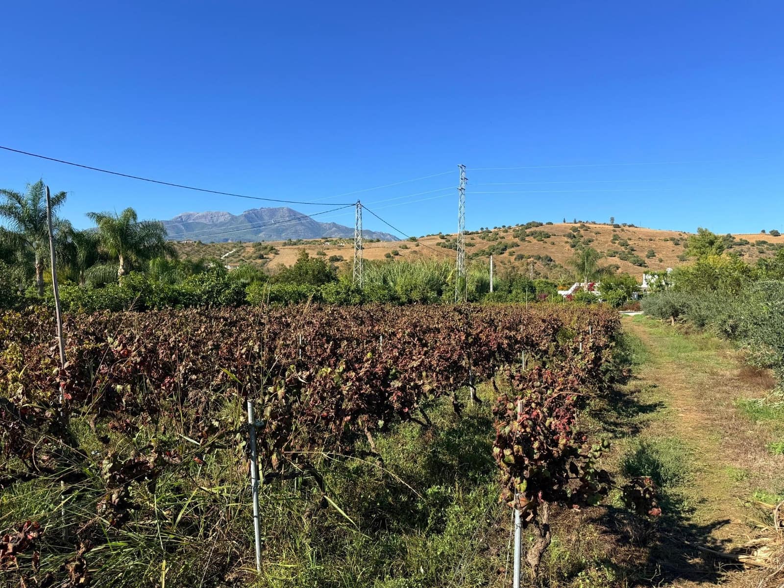 5 soveværelse Finca/Landehus til salg i Coin med swimmingpool - € 695.000 (Ref: 9382874)