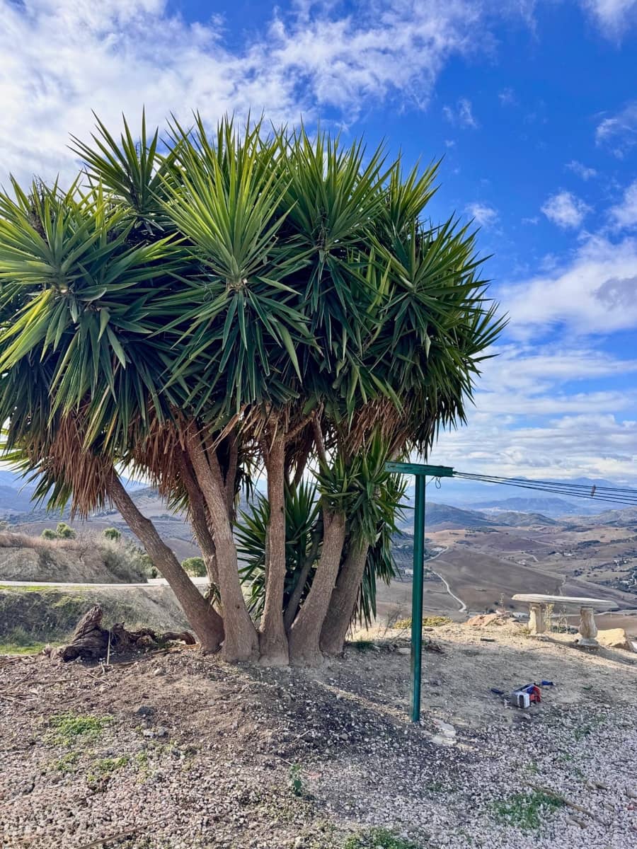 6 soveværelse Finca/Landehus til salg i Villanueva de la Concepcion - € 229.000 (Ref: 9452151)
