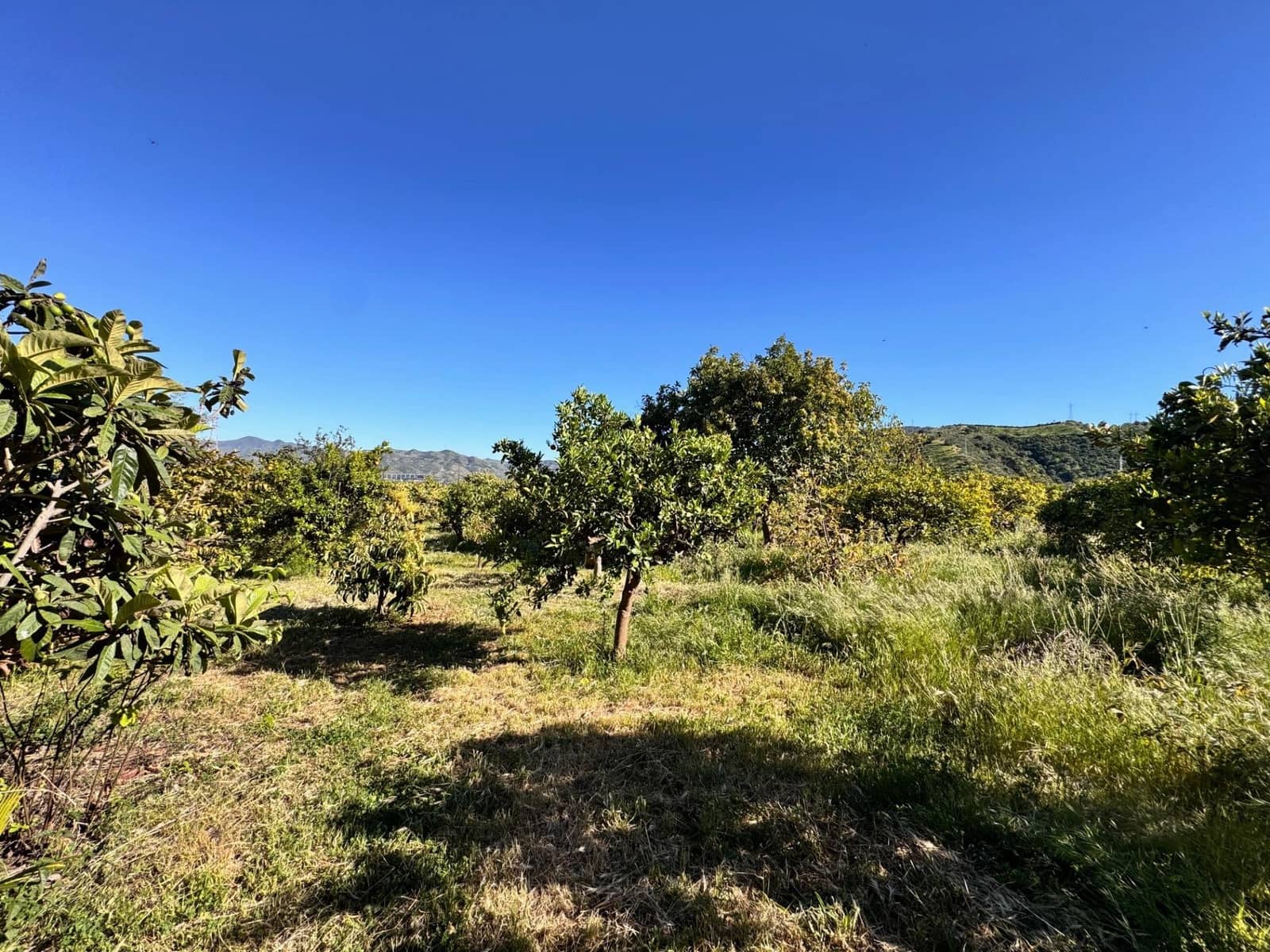 6 bedroom Finca/Country House for sale in Alora with pool - € 568,000 (Ref: 9745288)