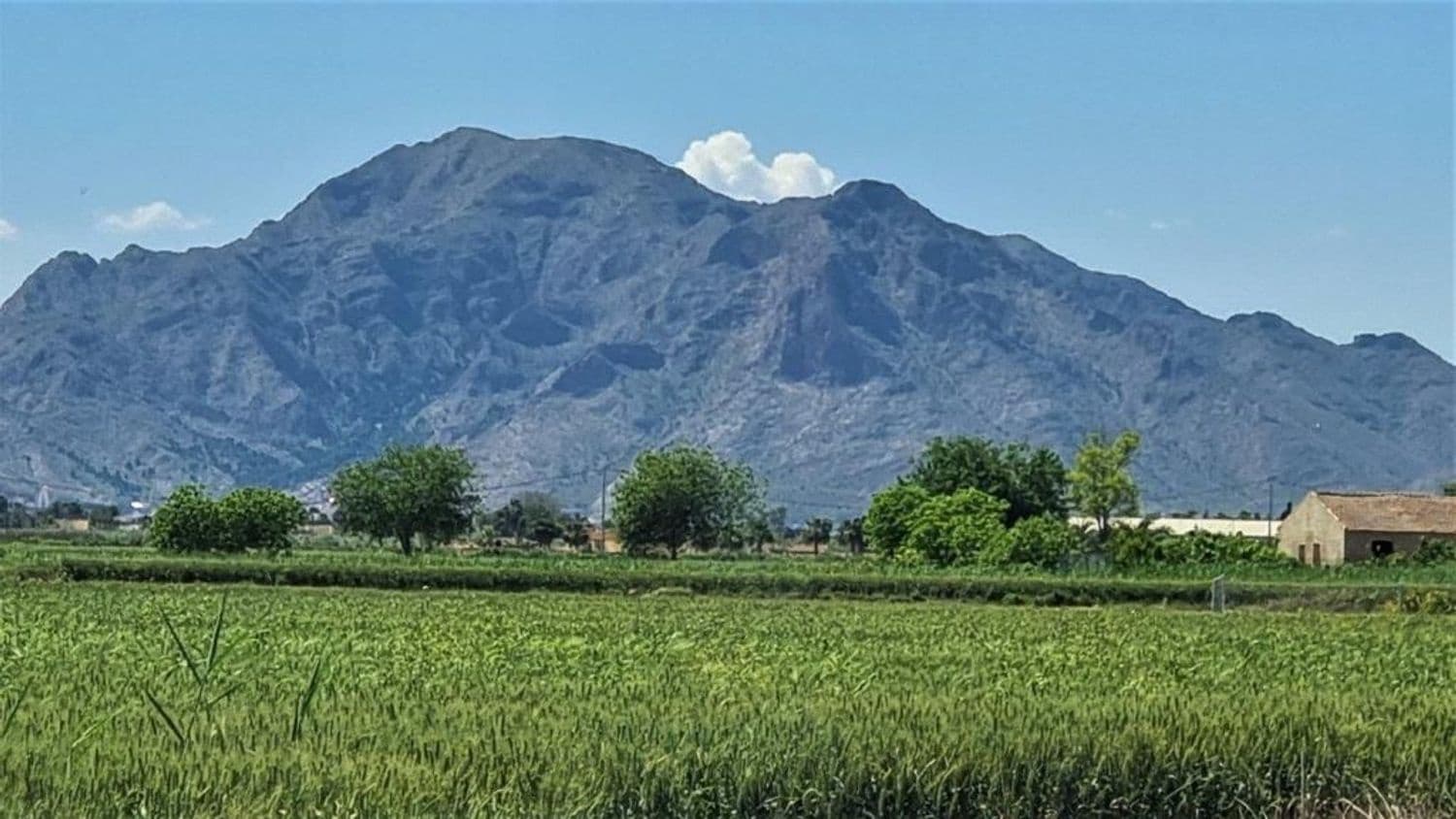 4 soveværelse Finca/Landehus til salg i L'Atzuvia med swimmingpool garage - € 695.000 (Ref: 7011648)