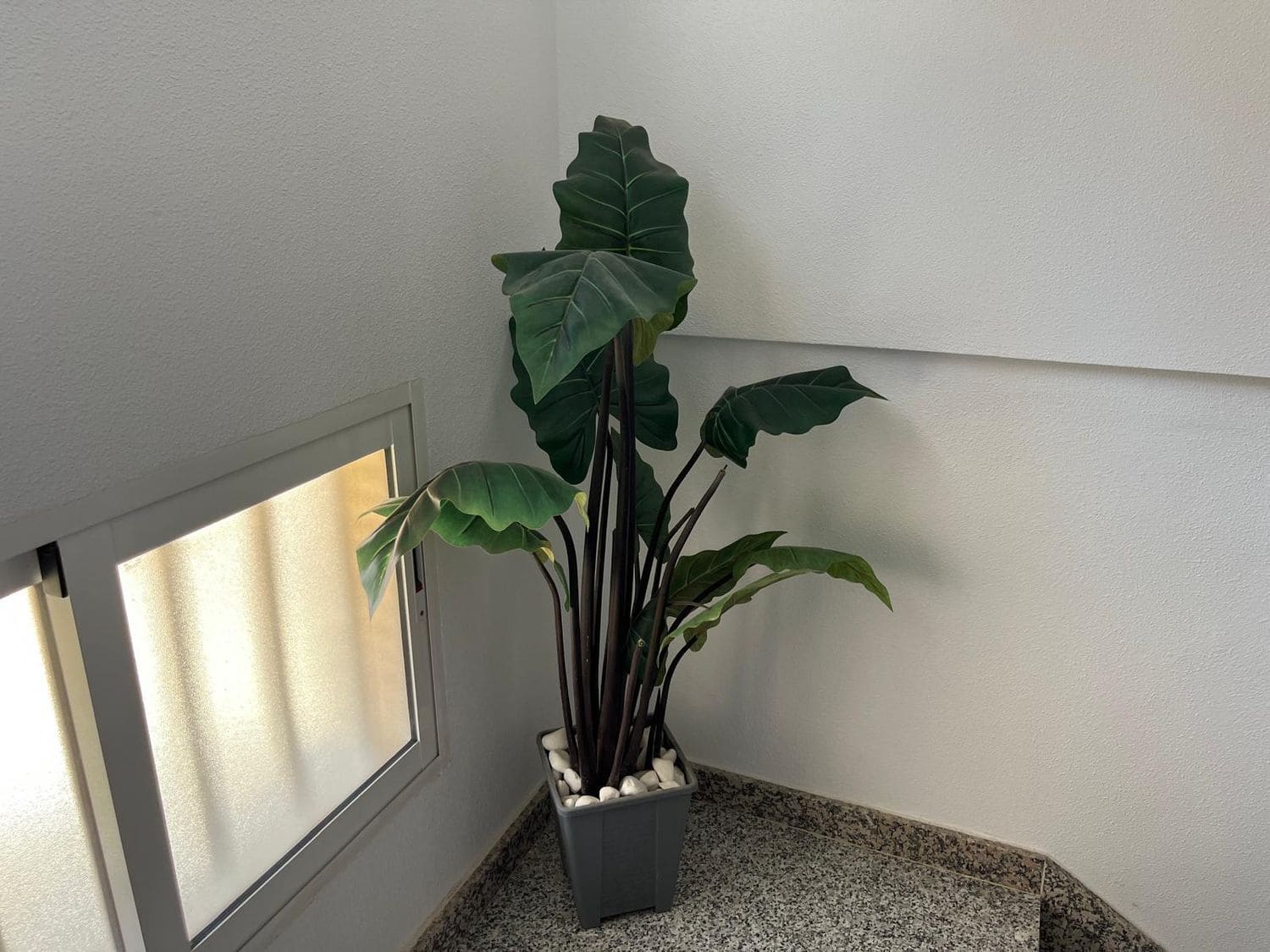 Yritys myytävänä paikassa San Pedro del Pinatar - 487 830 € (Ref: 9526037)