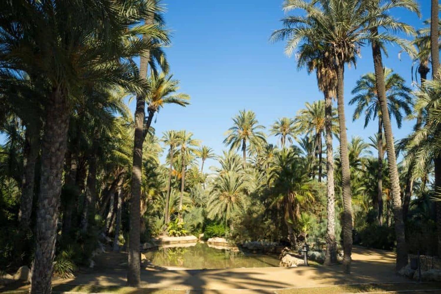 2 bedroom Apartment for sale in Benejuzar with garage - € 131,250 (Ref: 9598596)