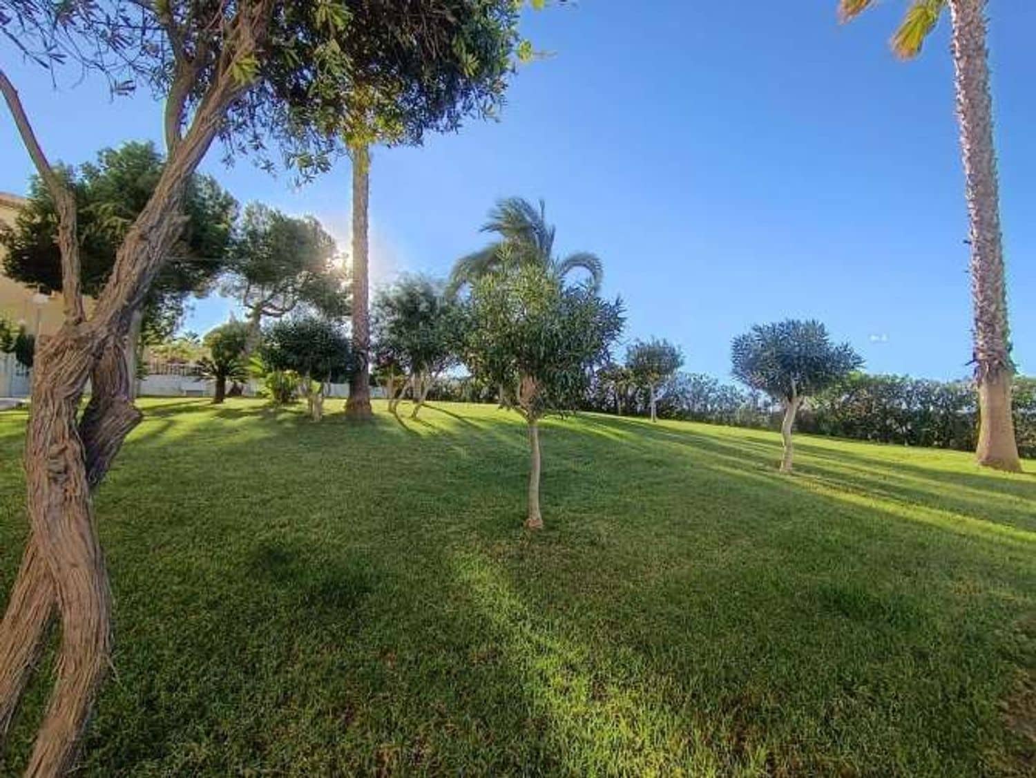 2 soverom Leilighet til salgs i Torrevieja med svømmebasseng garasje - € 149 995 (Ref: 9751490)