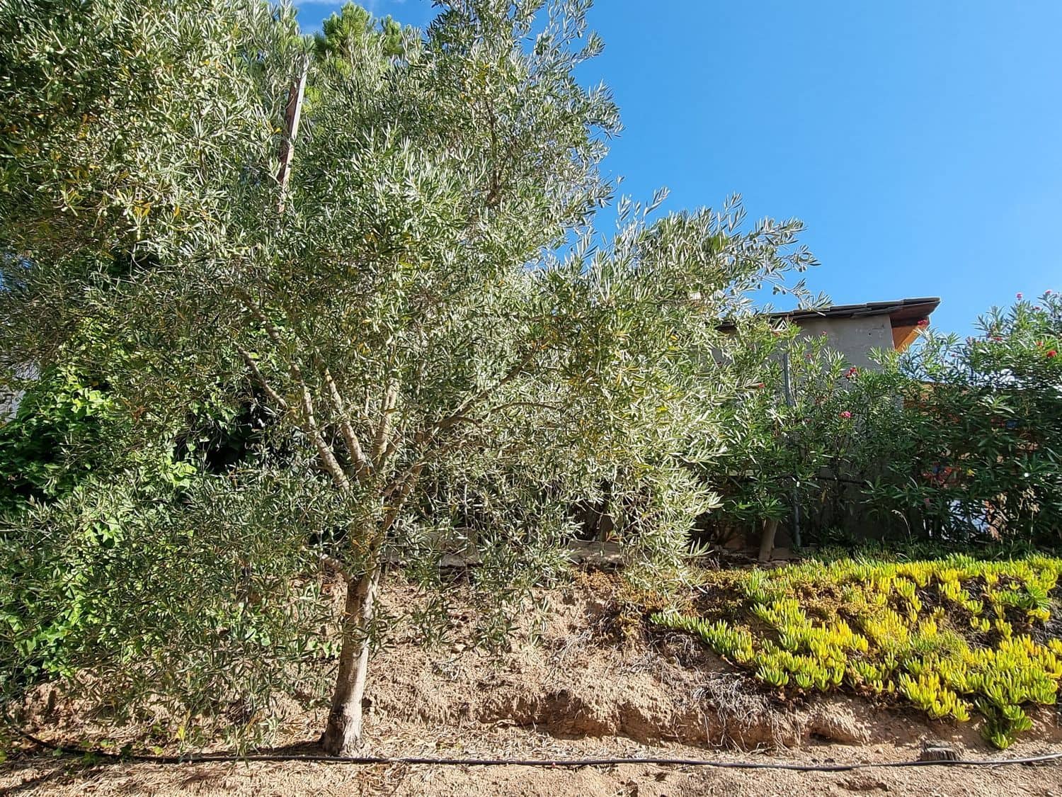 Chalet de 2 habitaciones en Tibi en venta con piscina garaje - 234.900 € (Ref: 9780017)