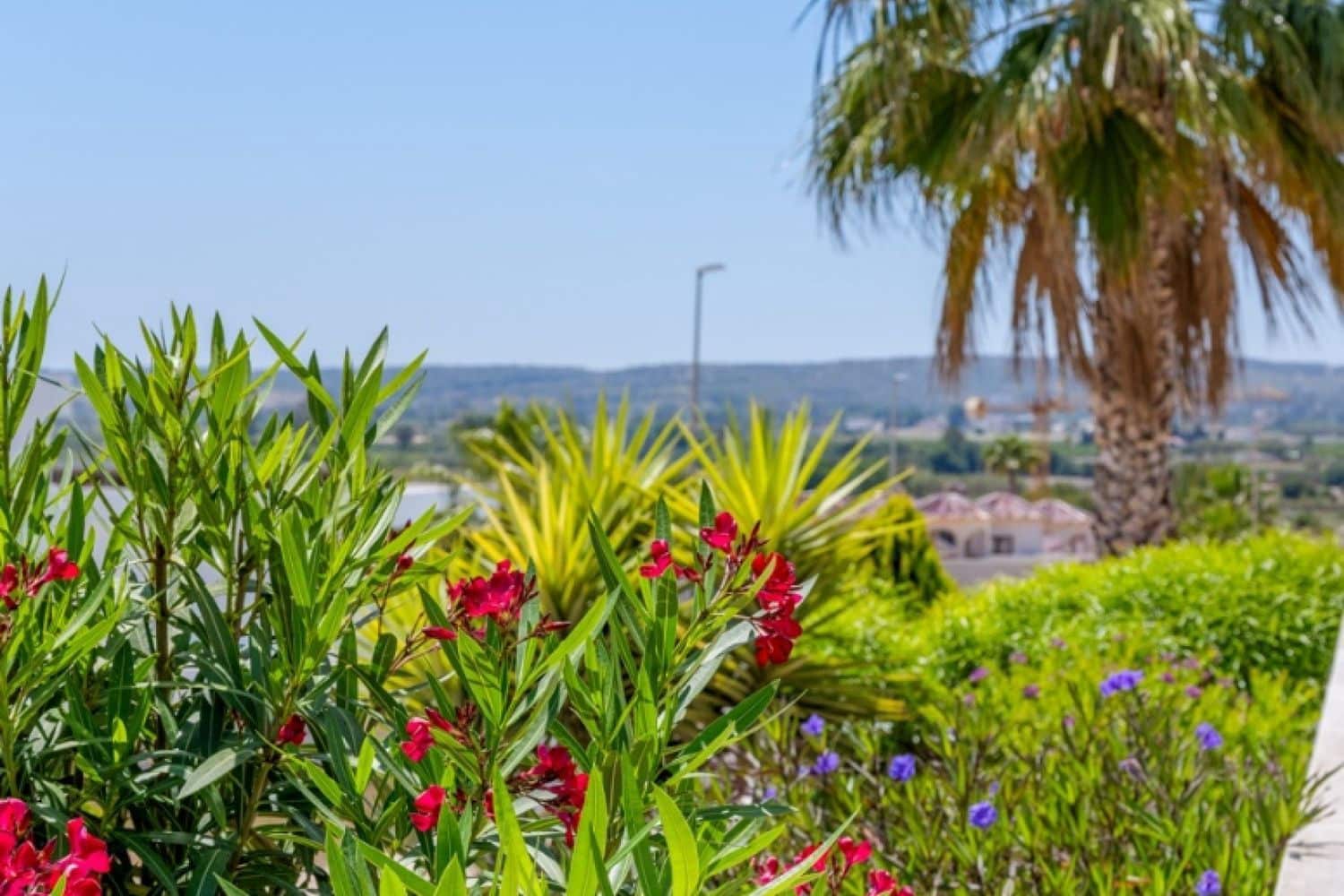 Chalet de 3 habitaciones en San Fulgencio en venta con piscina garaje - 595.000 € (Ref: 9864706)