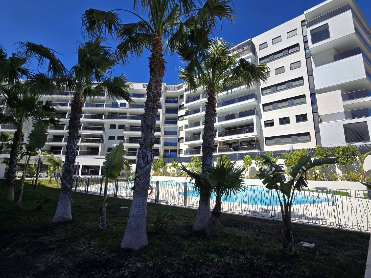 2 soveværelse Lejlighed til salg i Dehesa de Campoamor med swimmingpool garage - € 275.000 (Ref: 9880636)