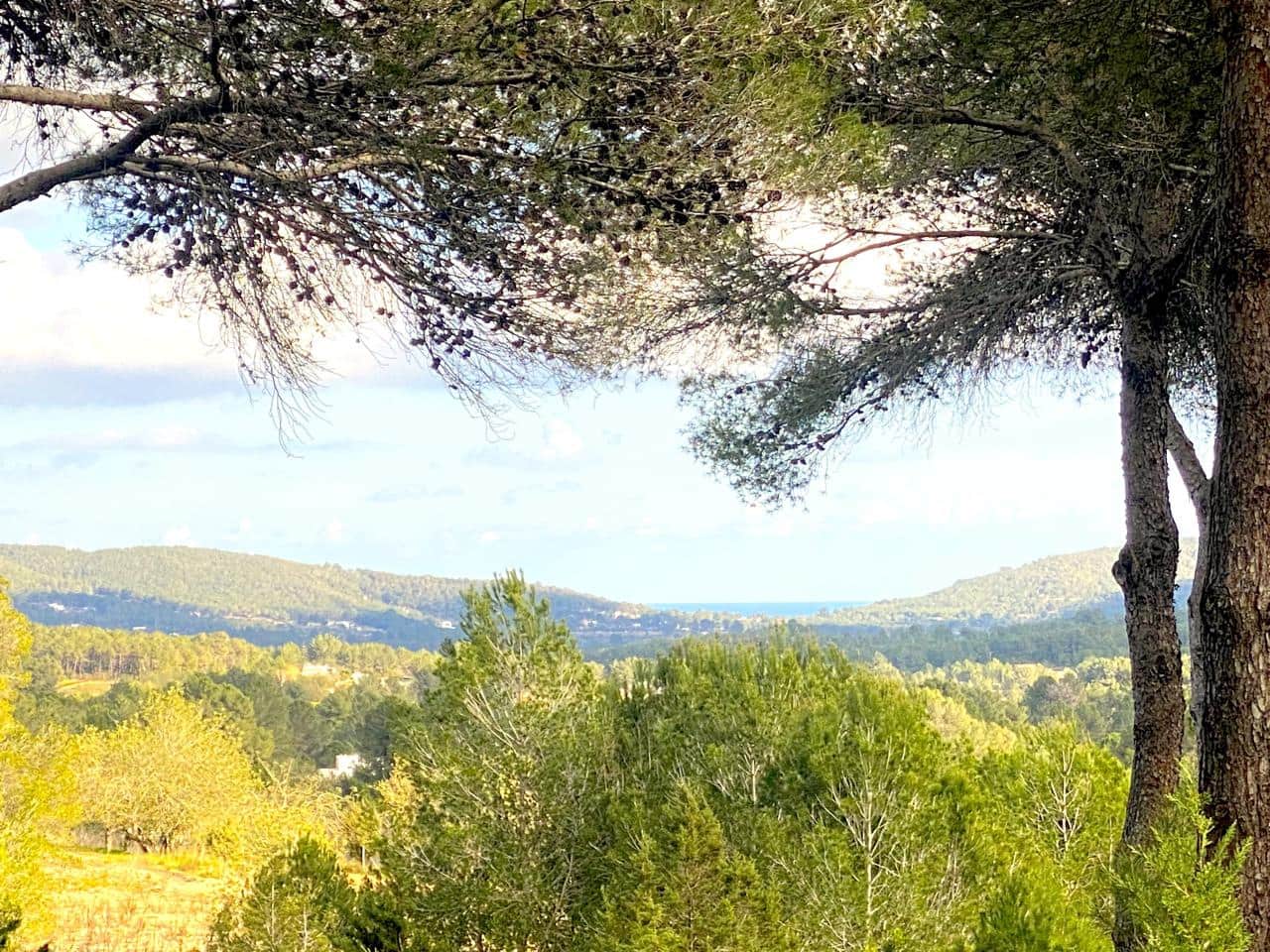 3 sypialnia Willa na sprzedaż w Miasto Ibiza / Eivissa - 3 750 000 € (Ref: 8845194)