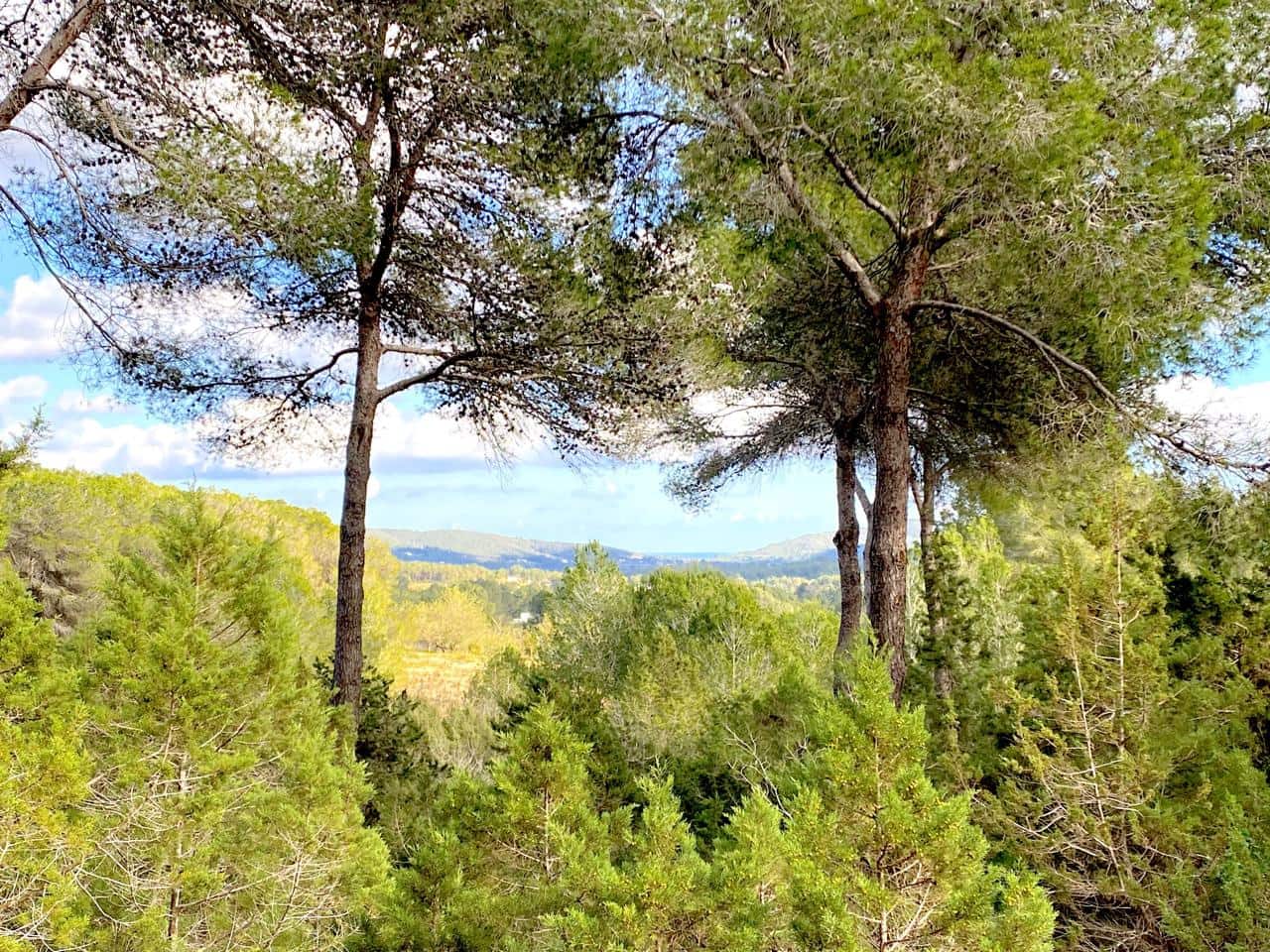 3 sypialnia Willa na sprzedaż w Miasto Ibiza / Eivissa - 3 750 000 € (Ref: 8845194)