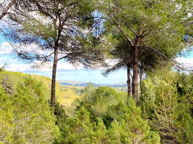 3 Zimmer Villa zu verkaufen in Ibiza / Eivissa Stadt - 3.750.000 € (Ref: 8845194)