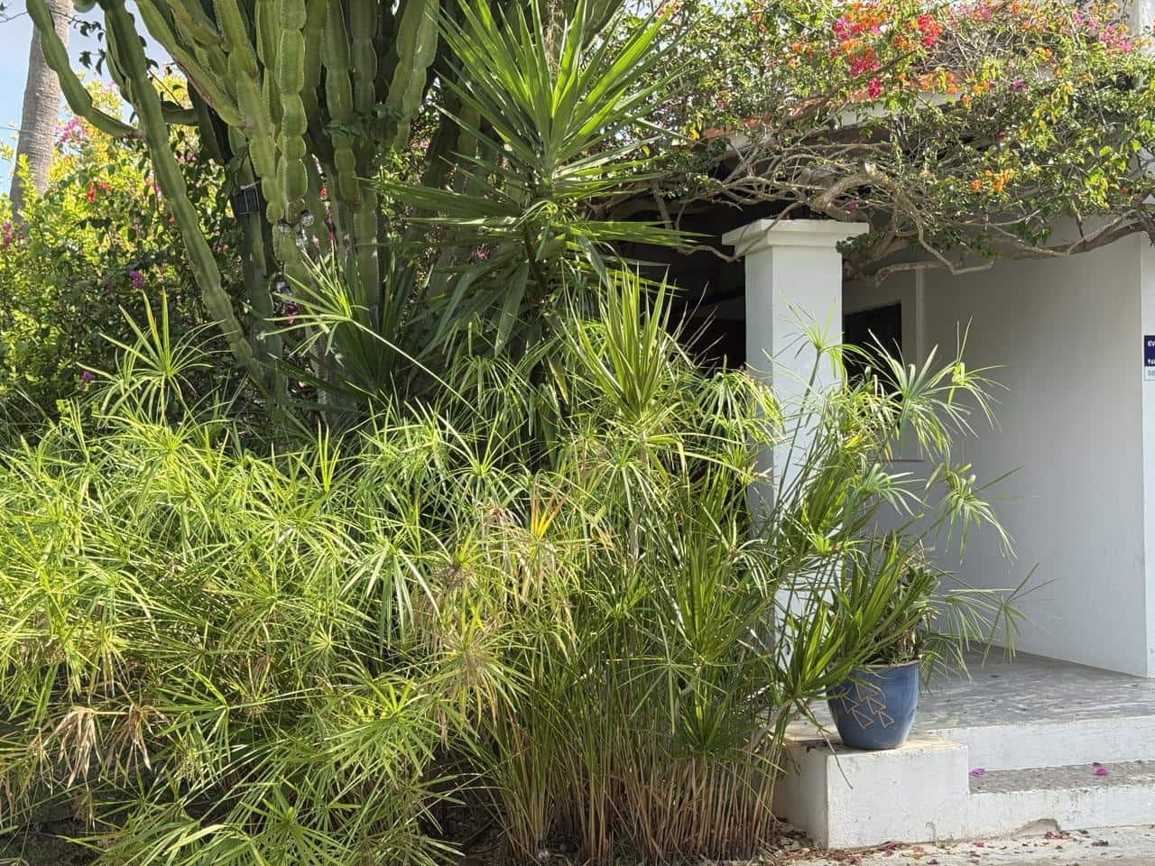 4 bedroom Villa for rent in San Jose / Sant Josep de Sa Talaia - € 14,000 (Ref: 9564112)