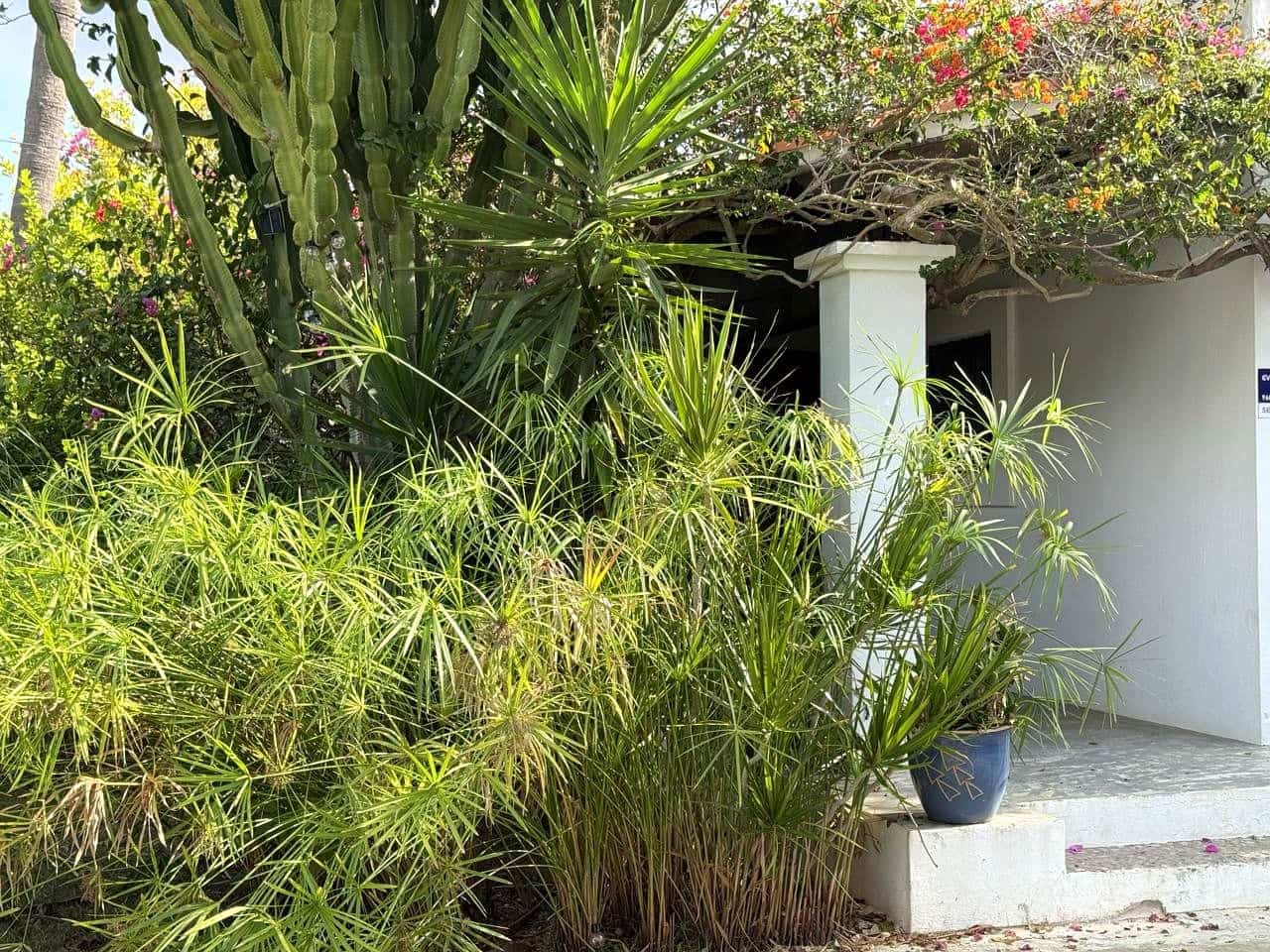 4 bedroom Villa for rent in San Jose / Sant Josep de Sa Talaia - € 14,000 (Ref: 9564112)