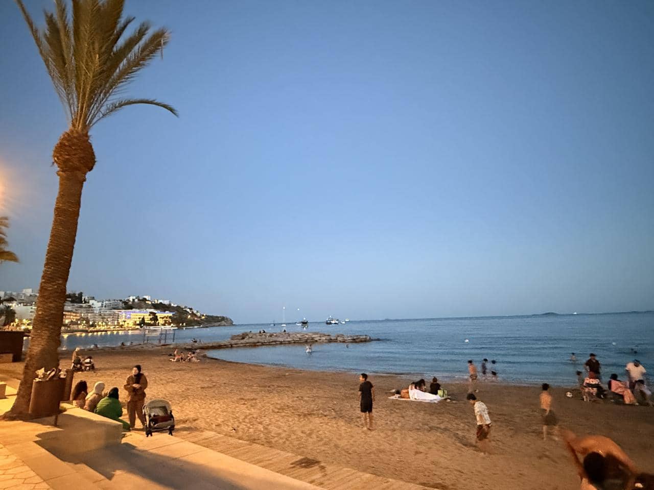 1 soverom Leilighet til leie i Ibiza by - € 3 000 (Ref: 9984035)