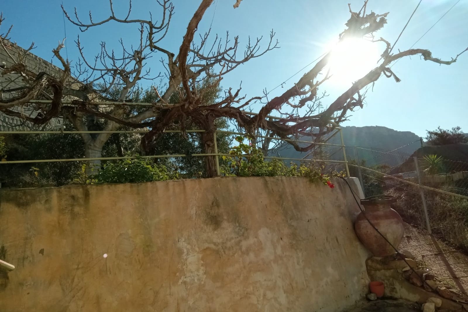 4 soveværelse Semi-Rækkehus til salg i Blanca med swimmingpool - € 169.995 (Ref: 8726014)