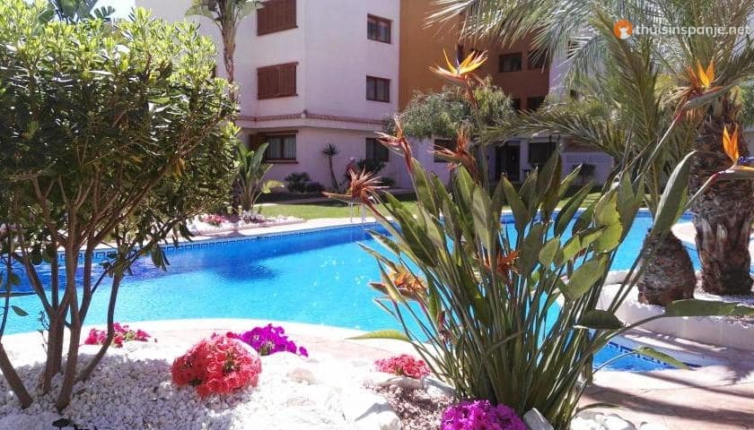 2 bedroom Apartment for sale in Punta Prima with pool - € 330,000 (Ref: 9218996)