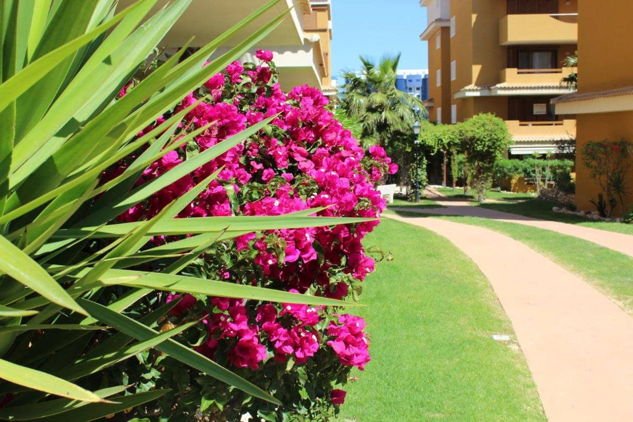 2 bedroom Apartment for sale in Punta Prima with pool - € 330,000 (Ref: 9218996)