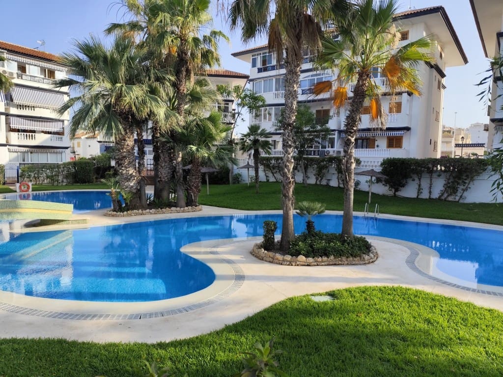 1 slaapkamer Studio te koop in Torrevieja met zwembad - € 110.000 (Ref: 9383682)
