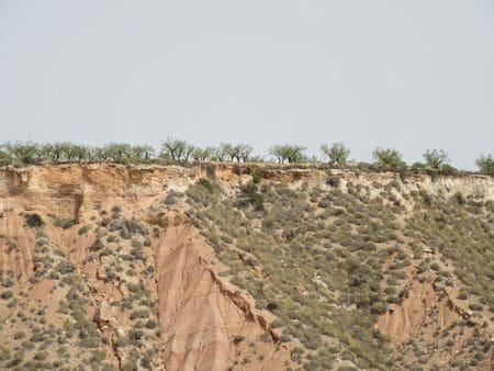 Bouwgrond te koop in Mula - € 45.000 (Ref: 9405821)