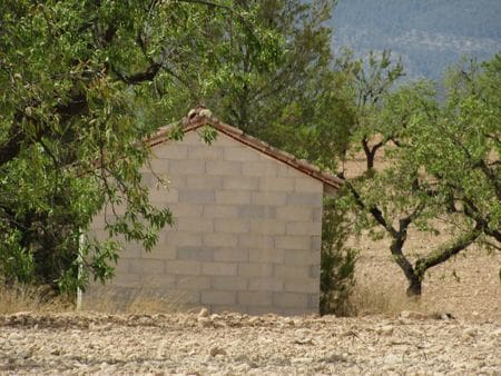 Bouwgrond te koop in Mula - € 45.000 (Ref: 9405821)