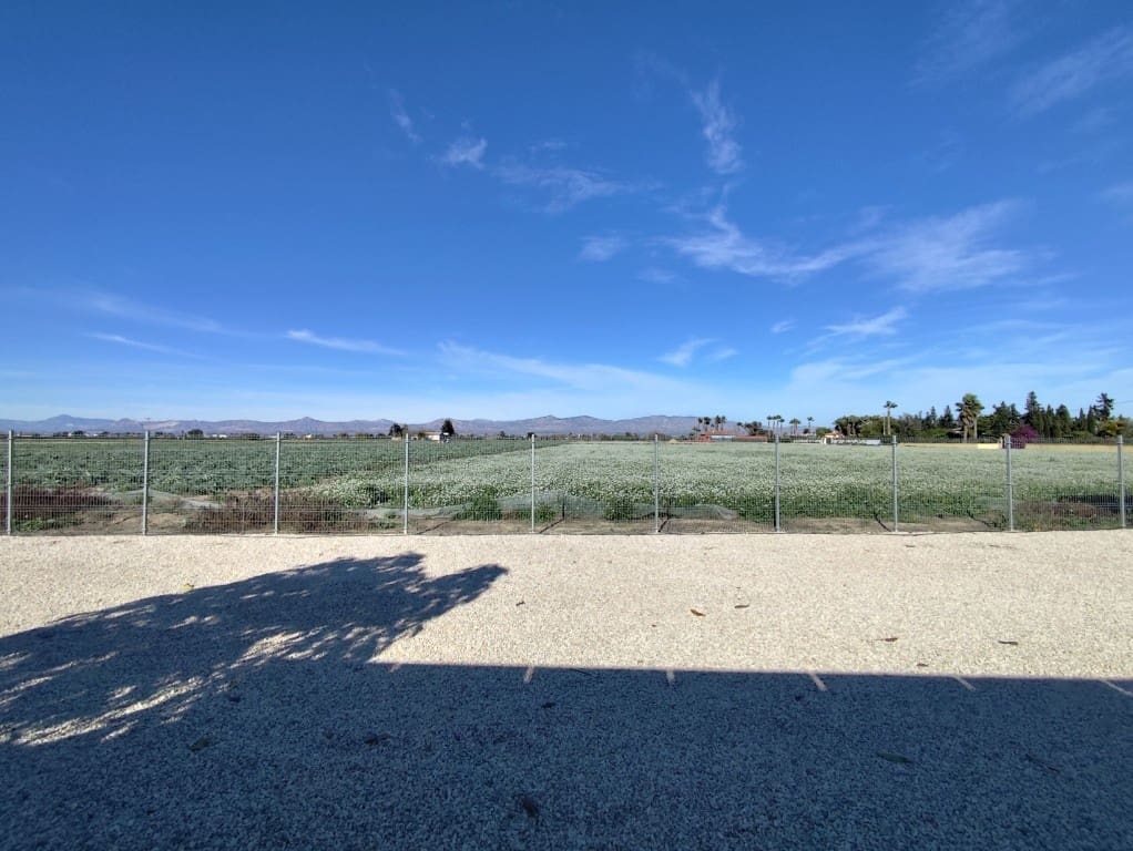 3 soverom Villa til salgs i Mudamiento med svømmebasseng - € 660 000 (Ref: 9495414)