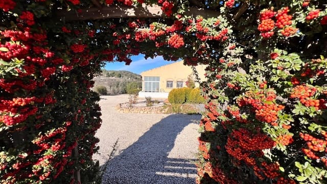 3 bedroom Finca/Country House for sale in Pinar de Campoverde, Pilar de la Horadada with pool - € 395,000 (Ref: 9500193)