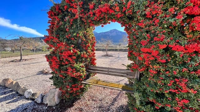 3 bedroom Finca/Country House for sale in Pinar de Campoverde, Pilar de la Horadada with pool - € 395,000 (Ref: 9500193)