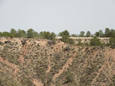 Building Plot for sale in Mula - € 45,000 (Ref: 9500225)