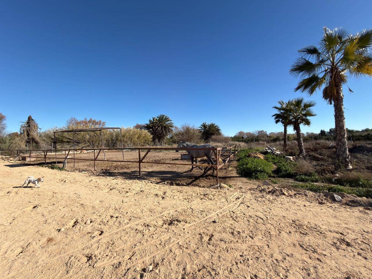 Bouwgrond te koop in Algorfa - € 229.000 (Ref: 9506331)