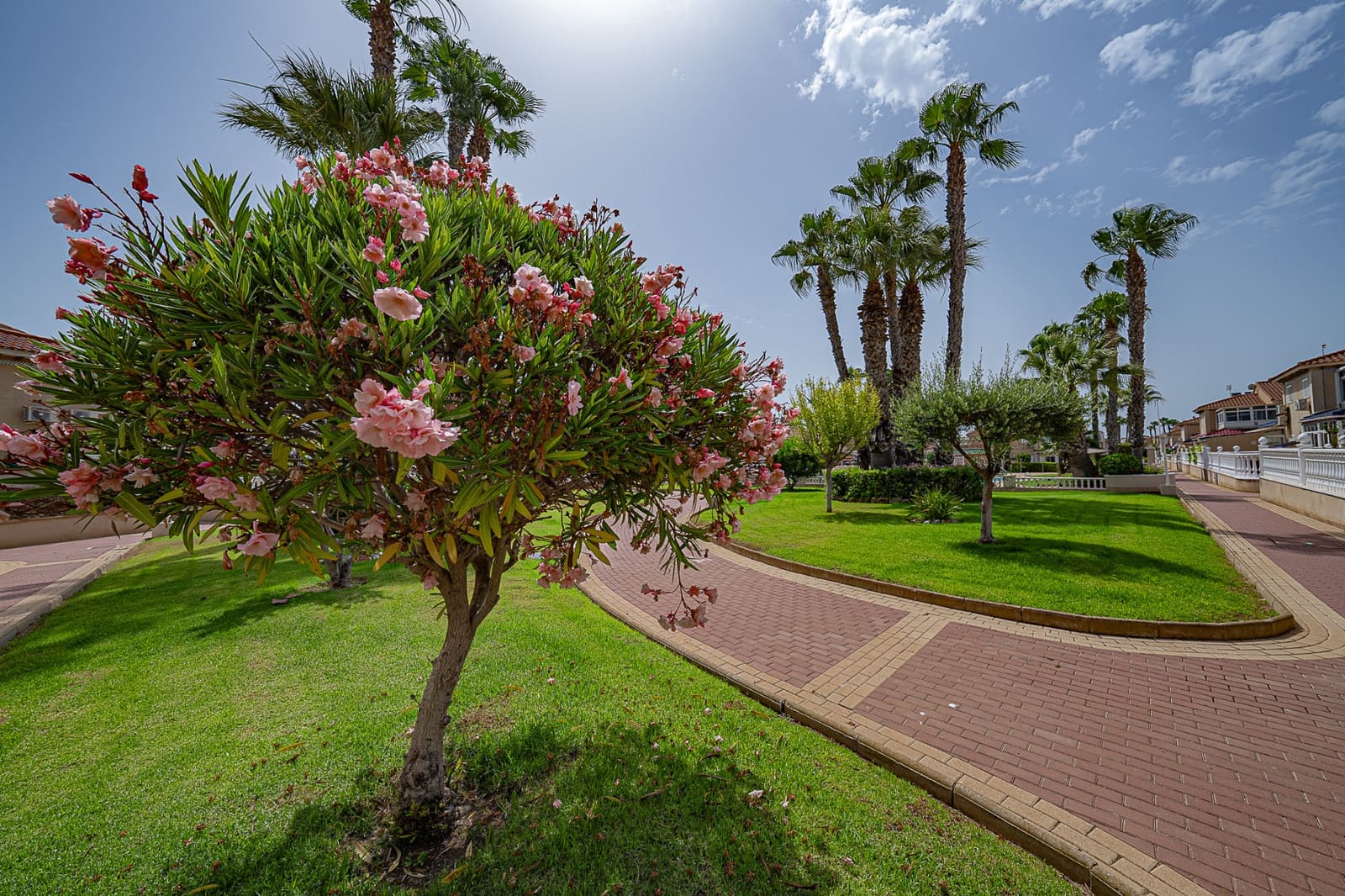 2 soverom Leilighet til salgs i Playa Flamenca med svømmebasseng - € 175 900 (Ref: 9640652)