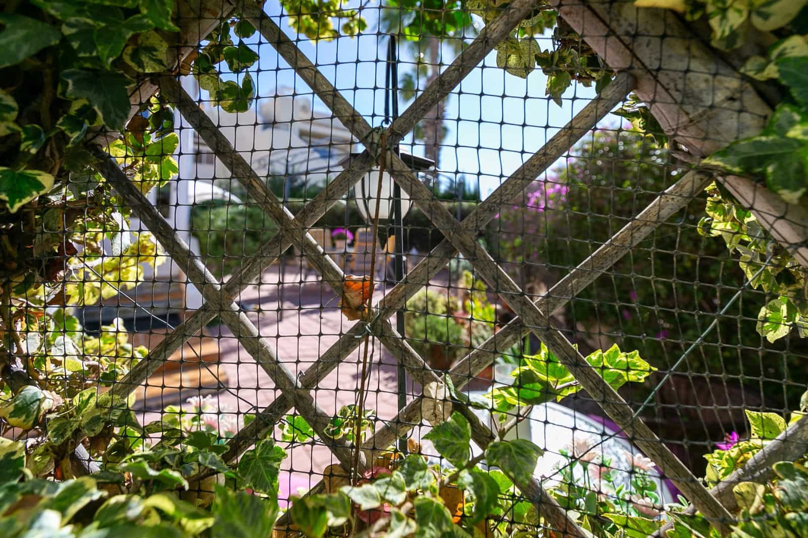 2 bedroom Apartment for sale in Playa Flamenca with pool - € 210,000 (Ref: 9785074)