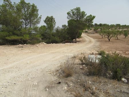 Terreno para Construção para venda em Mula - 40 000 € (Ref: 9785091)