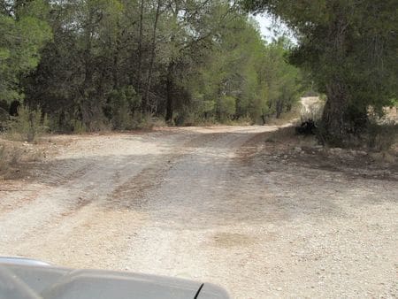 Terreno para Construção para venda em Mula - 40 000 € (Ref: 9785091)