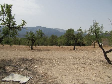 Terreno para Construção para venda em Mula - 40 000 € (Ref: 9785091)
