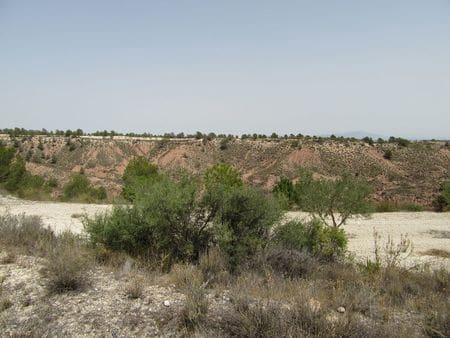 Terreno para Construção para venda em Mula - 40 000 € (Ref: 9785091)
