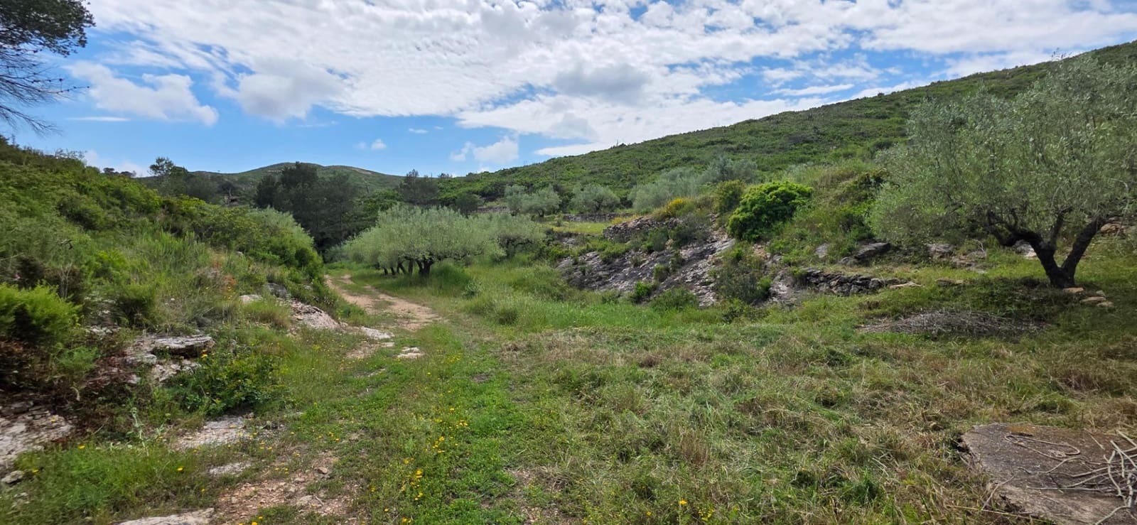Quinta/Casa Rural para venda em El Perello - 65 000 € (Ref: 10013363)