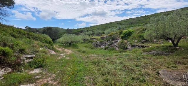 Quinta/Casa Rural para venda em El Perelló - 65 000 € (Ref: 10013363)