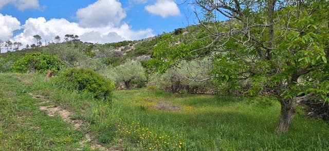 Quinta/Casa Rural para venda em El Perelló - 65 000 € (Ref: 10013363)
