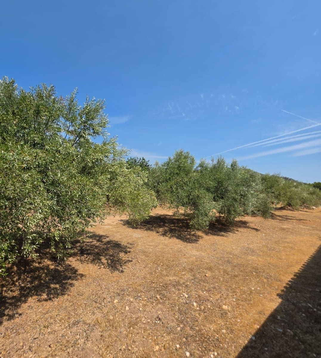 5 soveværelse Finca/Landehus til salg i Vandellos i l'Hospitalet de l'Infant med swimmingpool garage - € 375.000 (Ref: 10022502)
