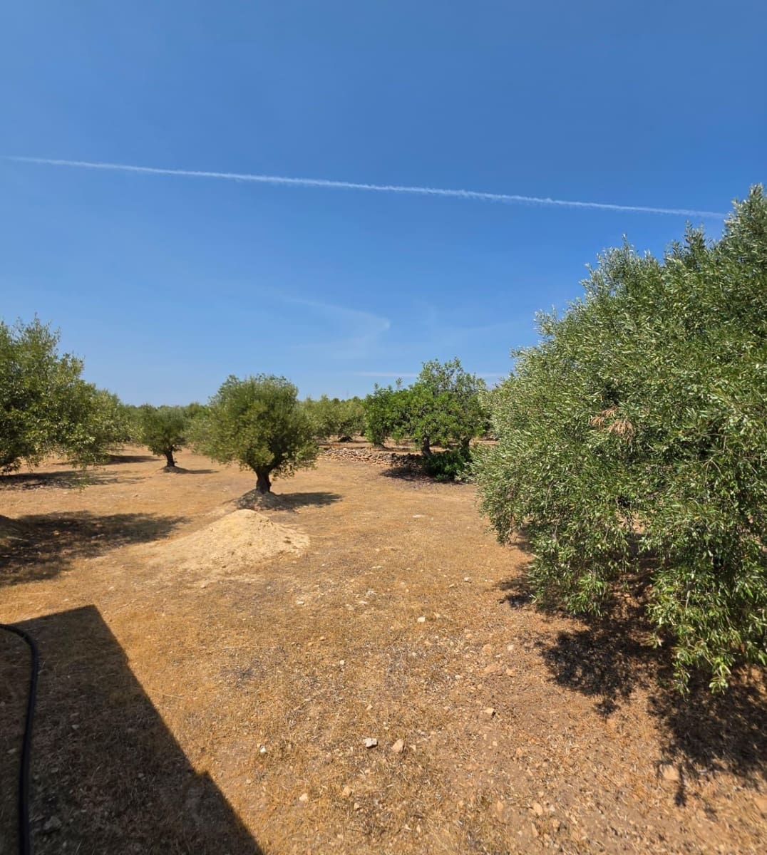5 soveværelse Finca/Landehus til salg i Vandellos i l'Hospitalet de l'Infant med swimmingpool garage - € 375.000 (Ref: 10022502)