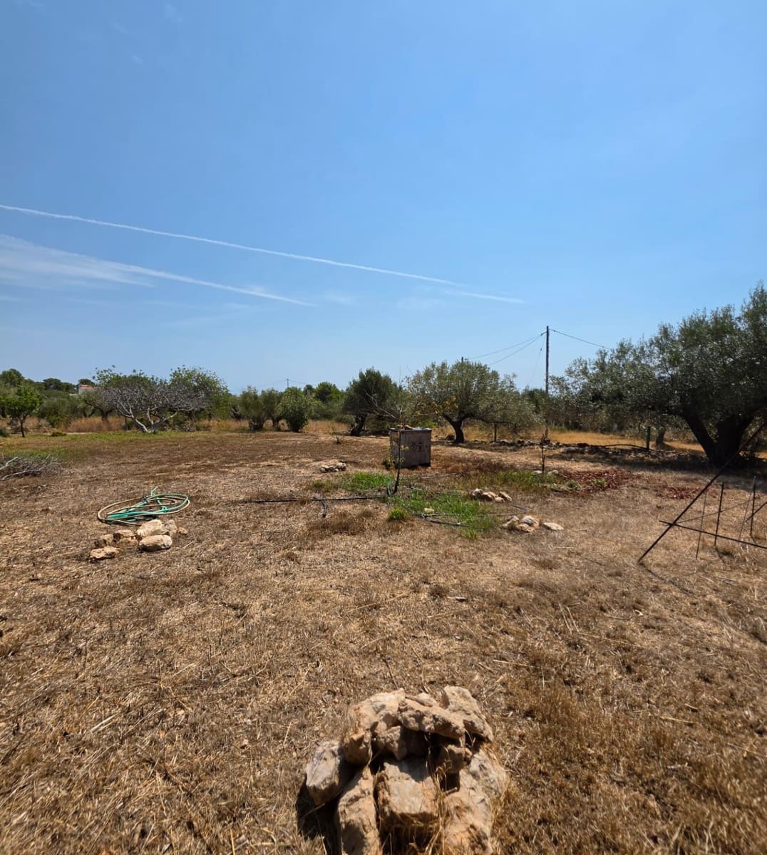 5 soveværelse Finca/Landehus til salg i Vandellos i l'Hospitalet de l'Infant med swimmingpool garage - € 375.000 (Ref: 10022502)