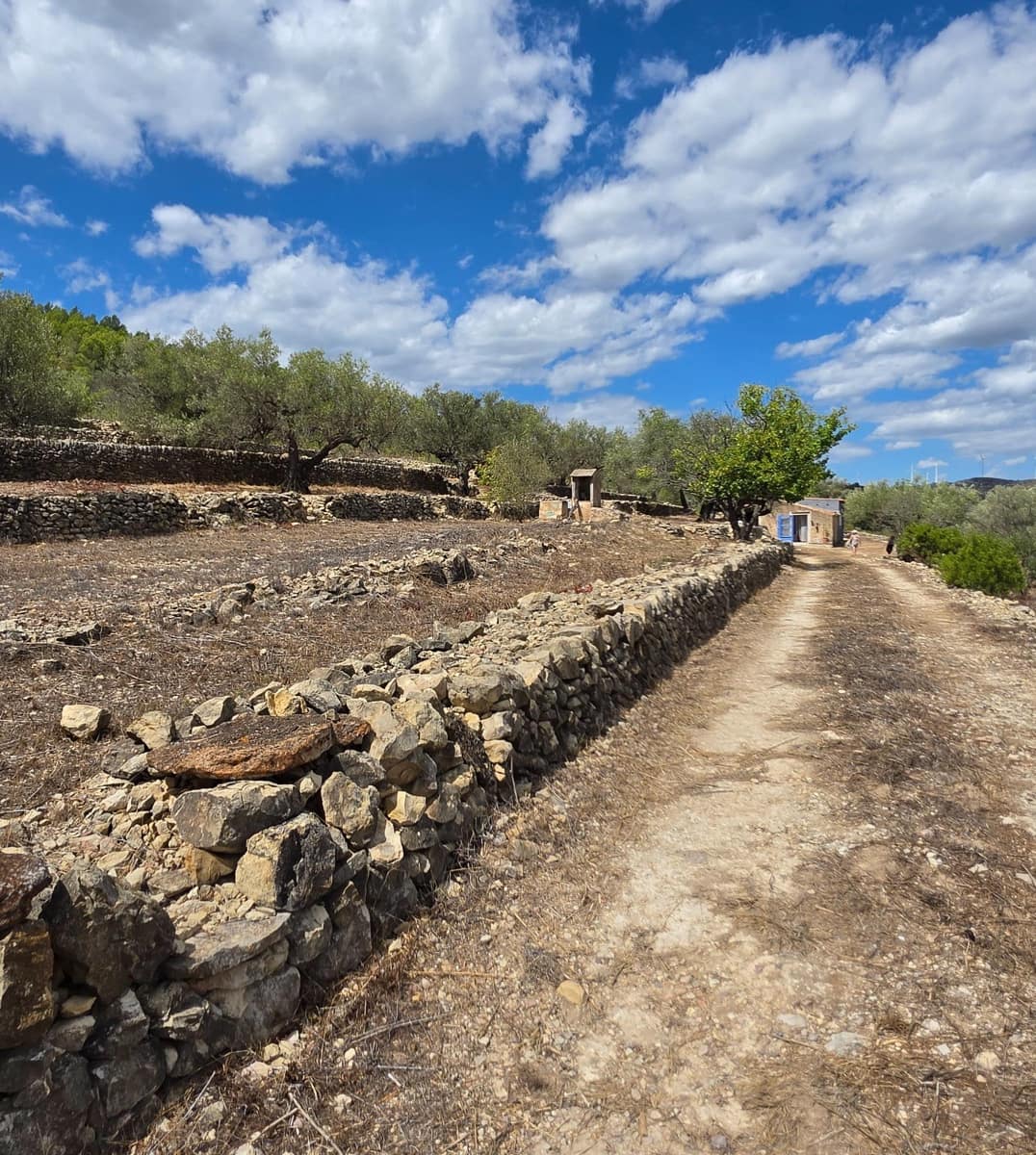 Finca/Country House for sale in El Perello - € 49,000 (Ref: 10037467)