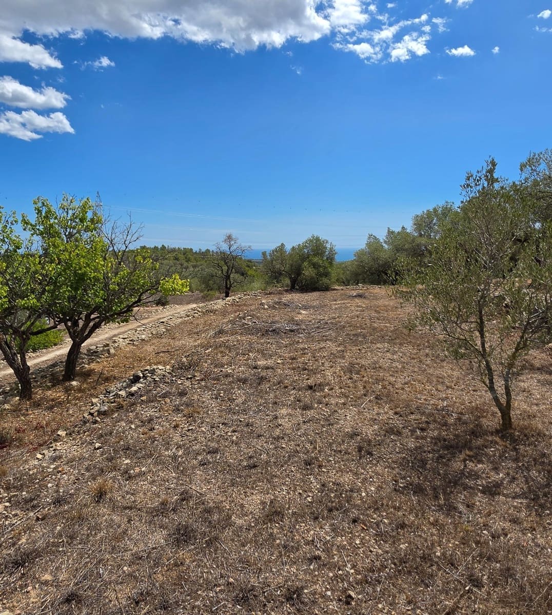 Finca/Country House for sale in El Perello - € 49,000 (Ref: 10037467)