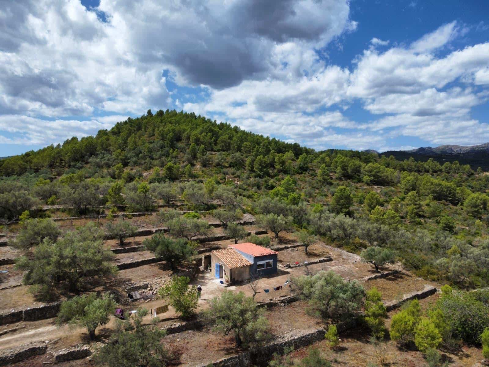 Finca/Country House for sale in El Perello - € 49,000 (Ref: 10037467)