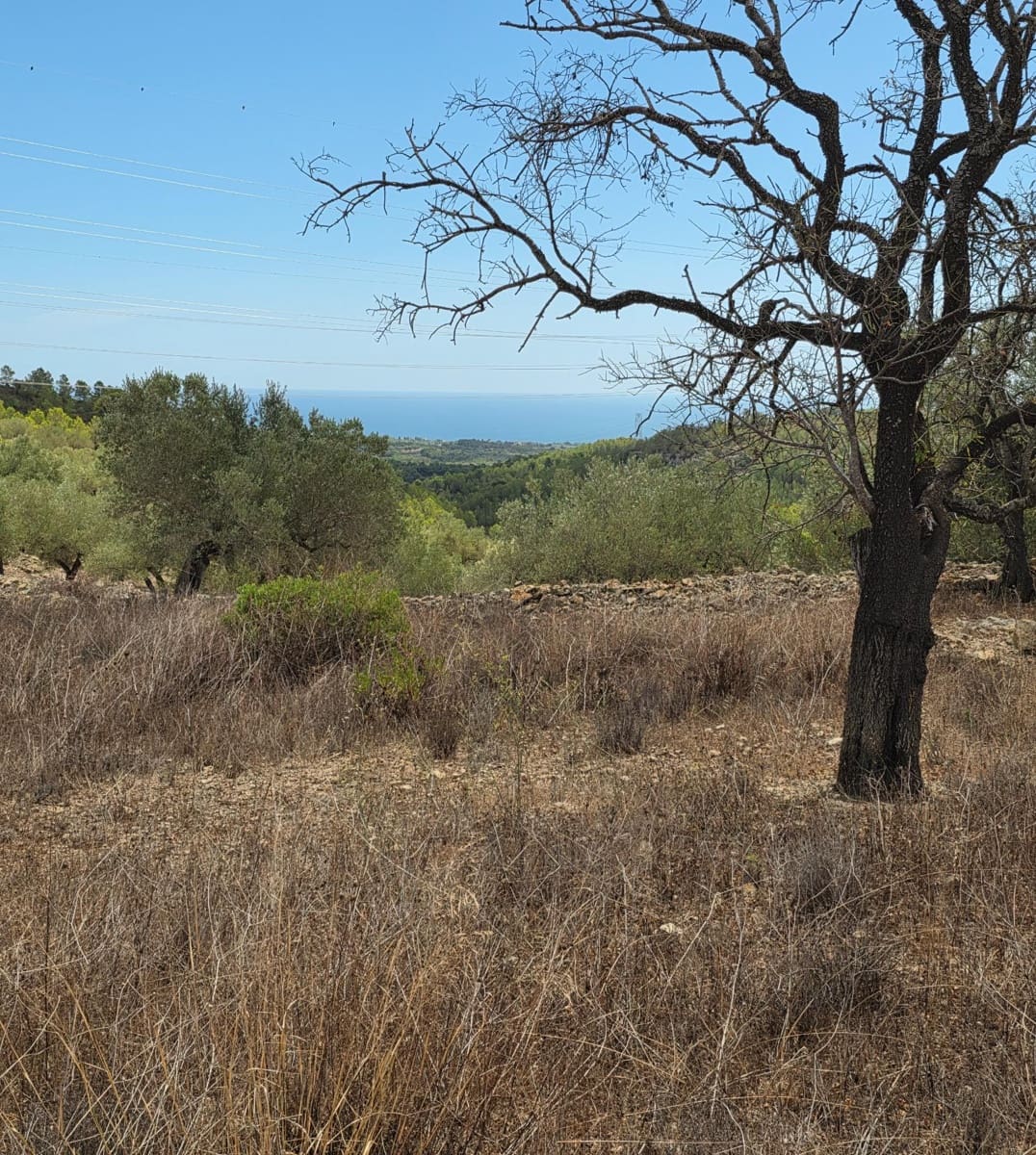 Finca/Country House for sale in El Perello - € 49,000 (Ref: 10037467)