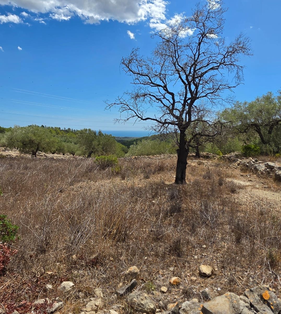 Finca/Country House for sale in El Perello - € 49,000 (Ref: 10037467)