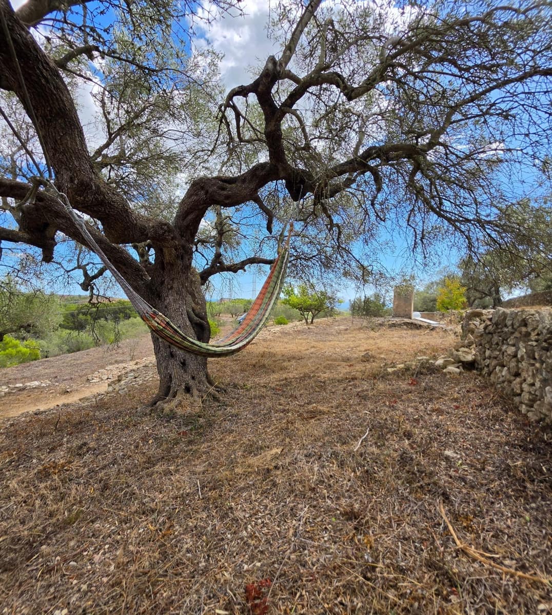 Finca/Country House for sale in El Perello - € 49,000 (Ref: 10037467)