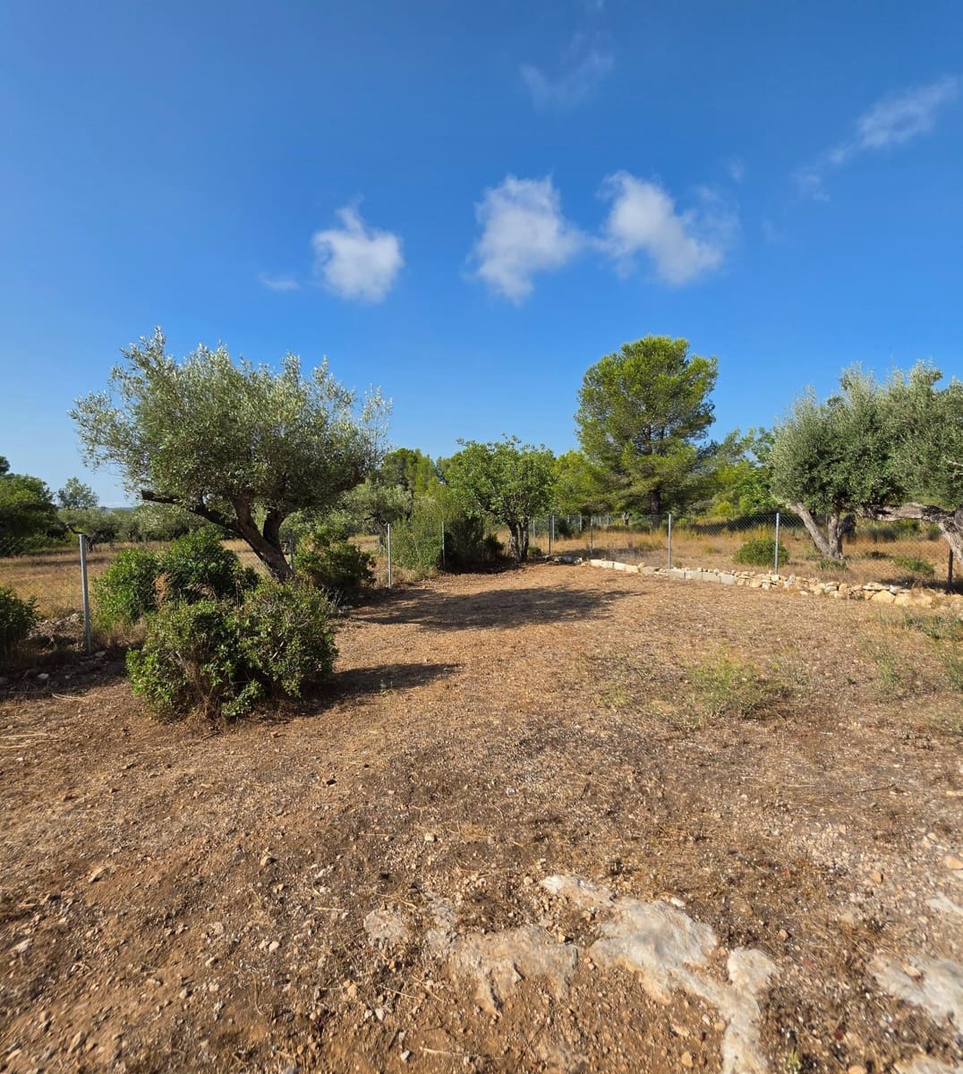 4 sovrum Finca/Hus på landet till salu i El Perello med pool - 395 000 € (Ref: 10059160)
