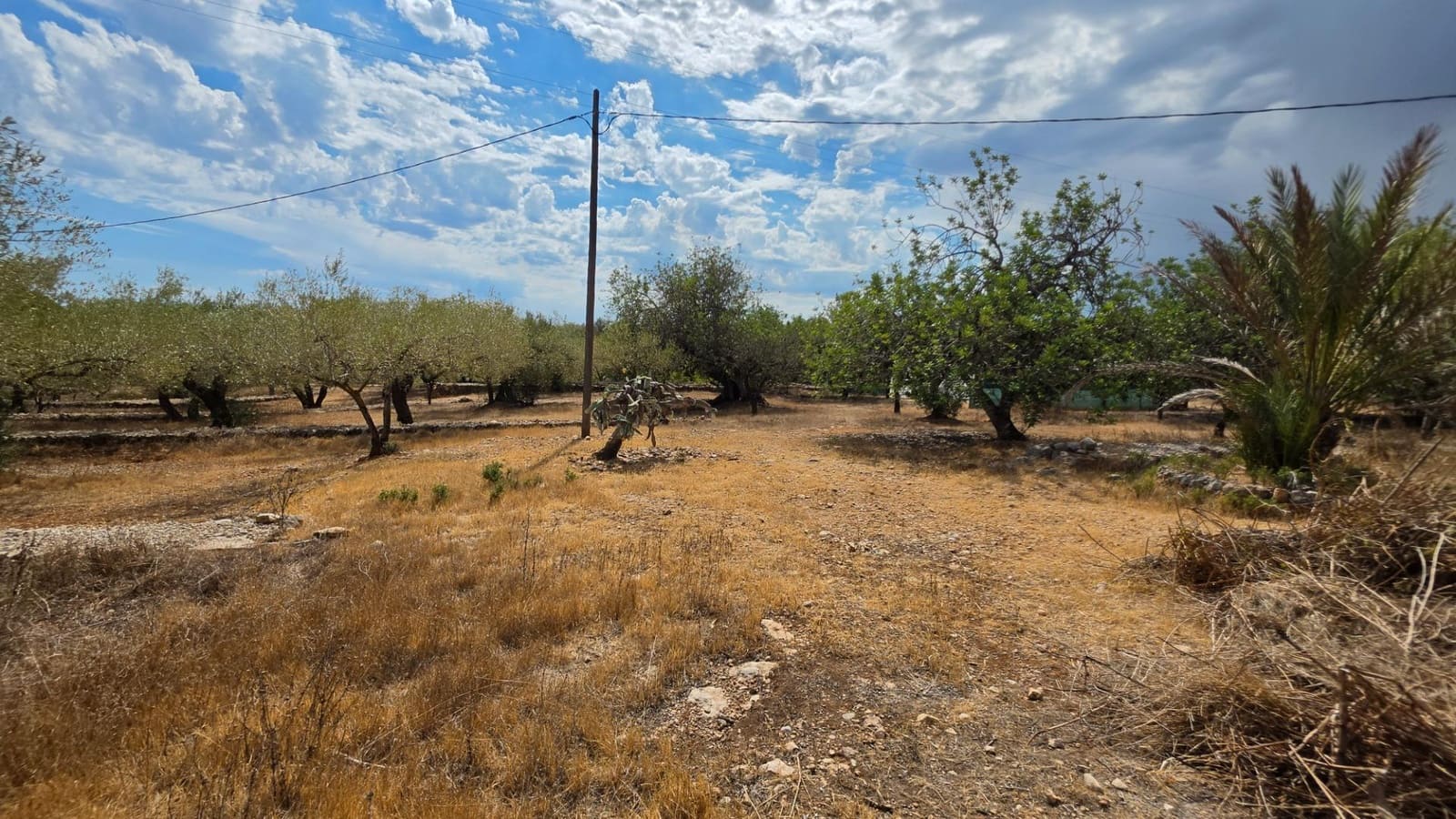 3 soverom Finca/Herregård til salgs i El Perello med svømmebasseng garasje - € 295 000 (Ref: 10094697)