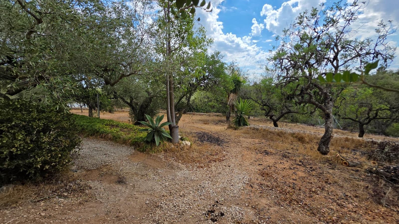3 soverom Finca/Herregård til salgs i El Perello med svømmebasseng garasje - € 295 000 (Ref: 10094697)