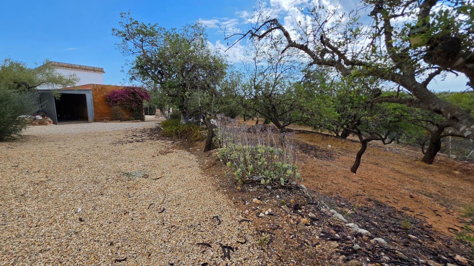 3 soverom Finca/Herregård til salgs i El Perello med svømmebasseng garasje - € 295 000 (Ref: 10094697)